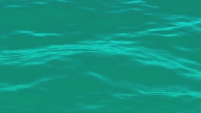 Sea Waves Background: Stock Motion Graphics