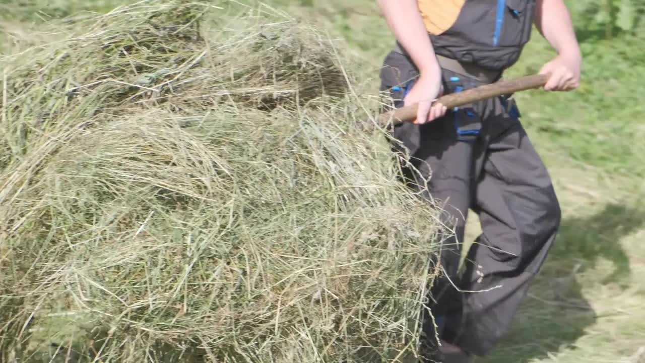 Farmer Harvesting Hay Stock Video Motion Array