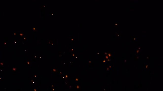 Sparks on black background - Stock Video | Motion Array