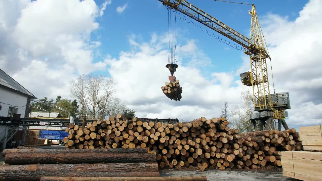 Crane Piling Logs - Stock Video | Motion Array