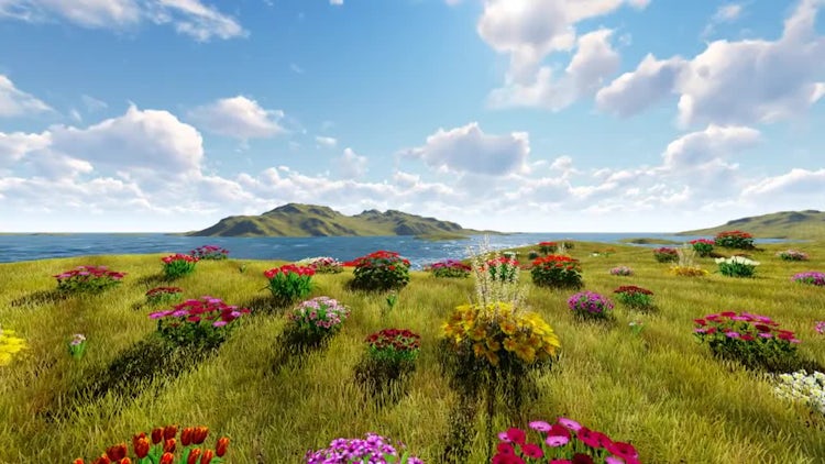 Spring: Stock Motion Graphics