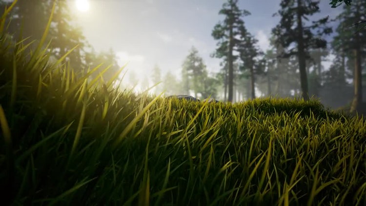 In The Heaven Forest : Stock Motion Graphics