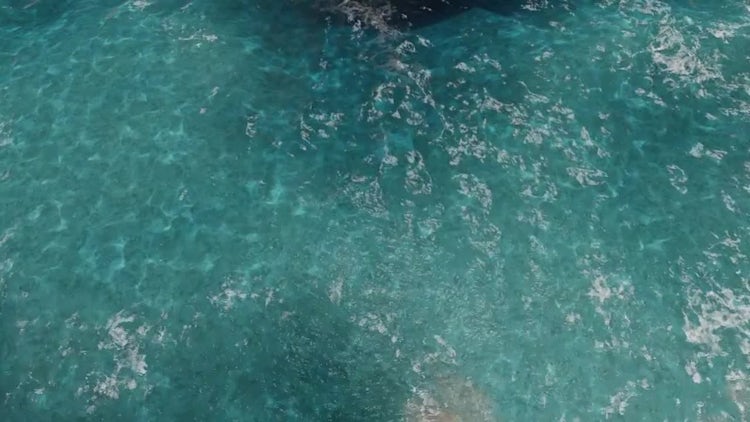 Clear Water: Stock Motion Graphics