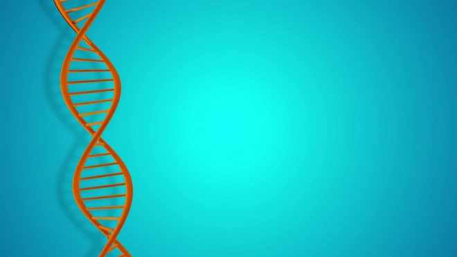 3D DNA Animation - Stock Motion Graphics | Motion Array