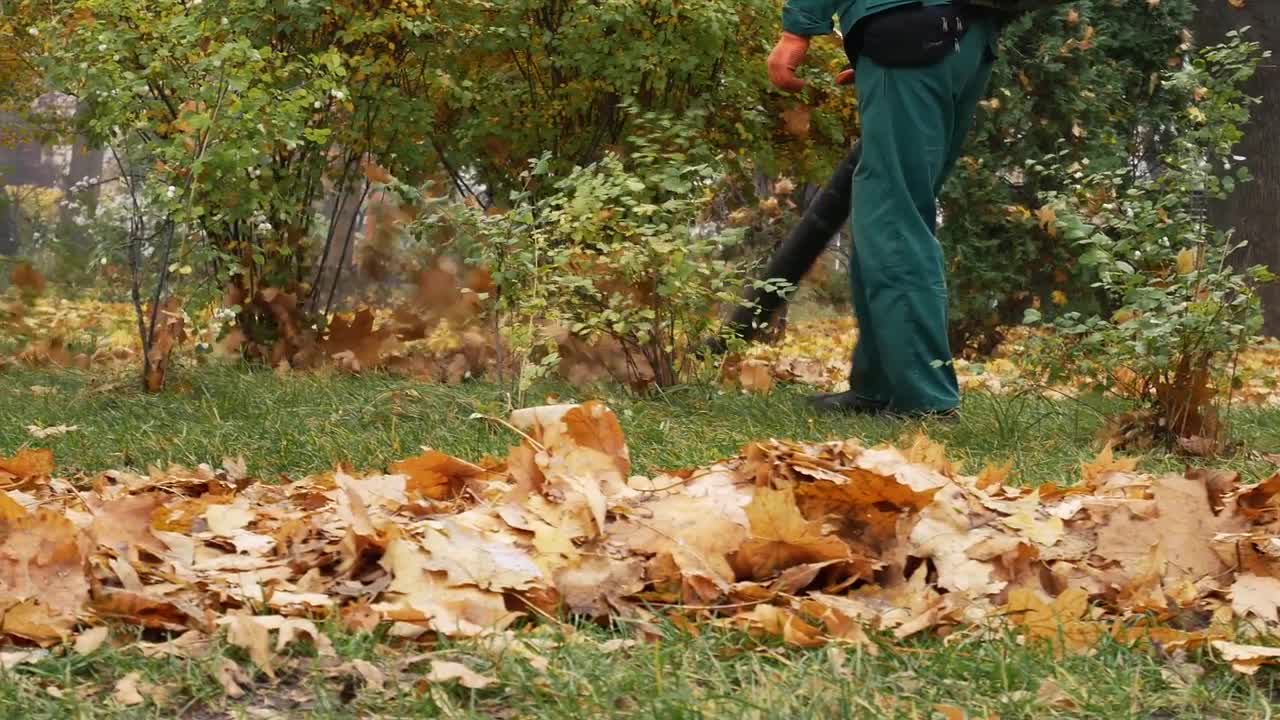 Man With Leaf Blower - Stock Video | Motion Array