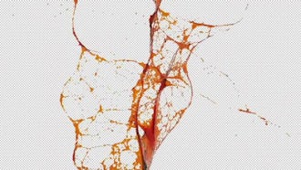 Set of Colored Oil Splash : Motion Graphics
