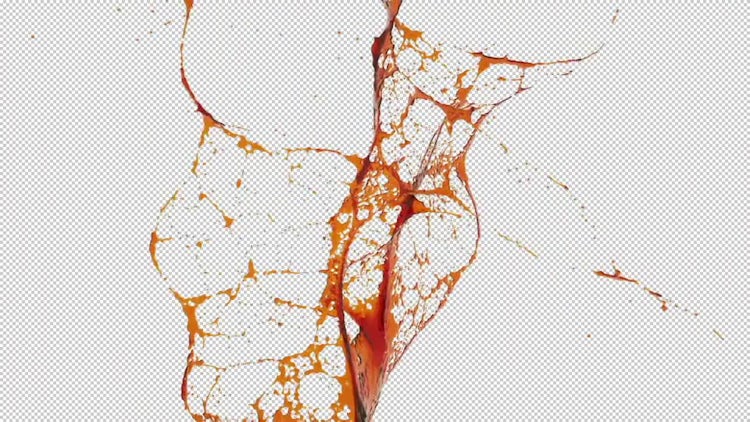 Set of Colored Oil Splash : Motion Graphics