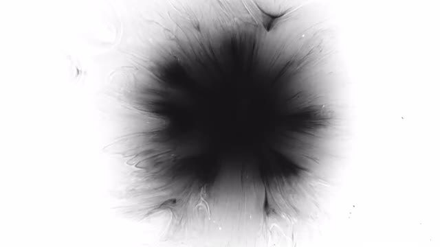 Ink Drop: Stock Video