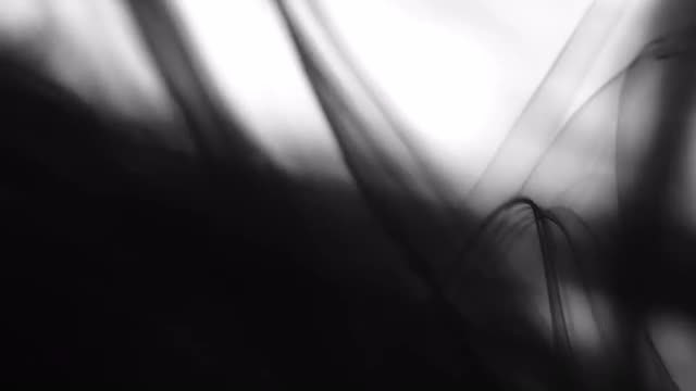Black Ink Drops In Water.: Stock Video