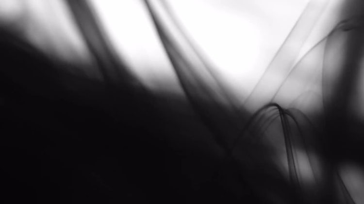 Black Ink Drops In Water.: Stock Video