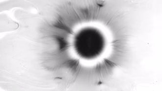 4K Black Ink Drop: Stock Video