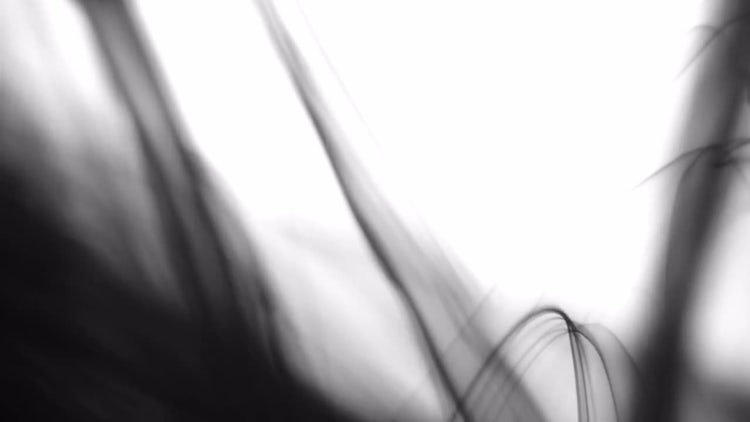 4K Black Ink Drops: Stock Video