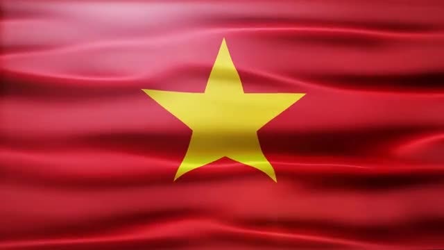 Vietnam Flag: Stock Motion Graphics