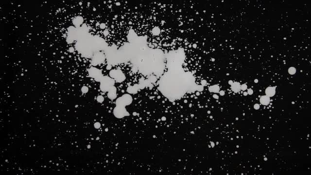 Paint Splat 18: Stock Video