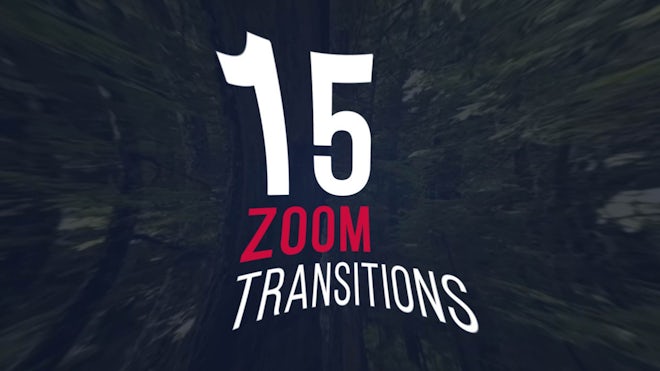 Zoom Transitions Freebies template preview
