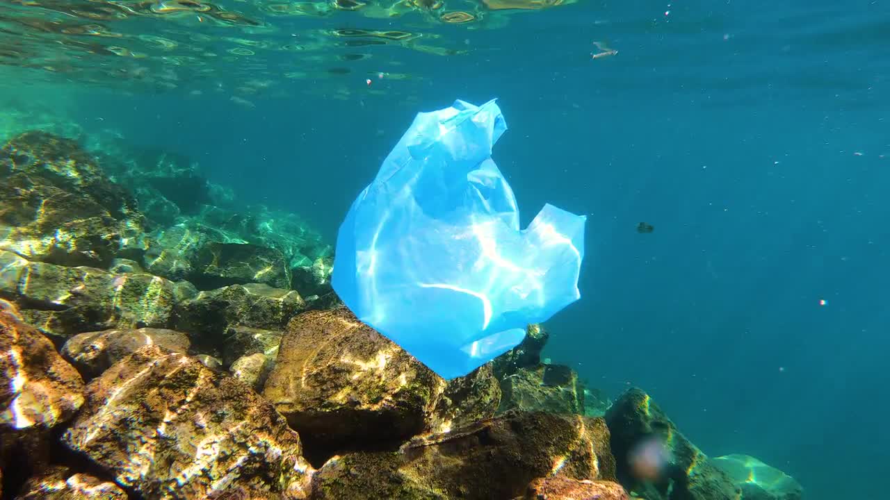 Plastic Waste In The Sea Stock Video Motion Array