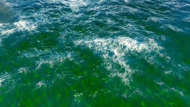 The Ocean v2: Stock Motion Graphics