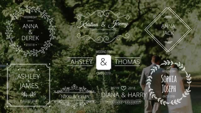 Wedding Names: After Effects Templates