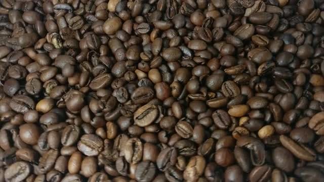 Falling and rotation roasted coffee beans in slow motion: Stock Video