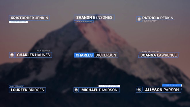 Corporate Lower Thirds Freebies template preview