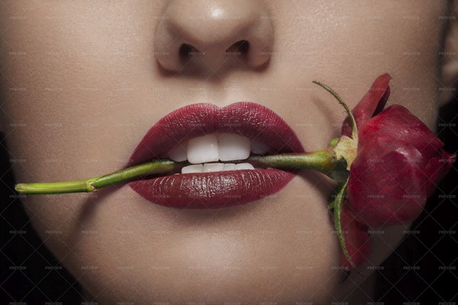 Red Lips Mouth Holding A Rose - Stock Photos  Motion Array