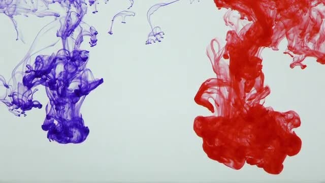 Colorful Ink Paint Splatter 28: Stock Video
