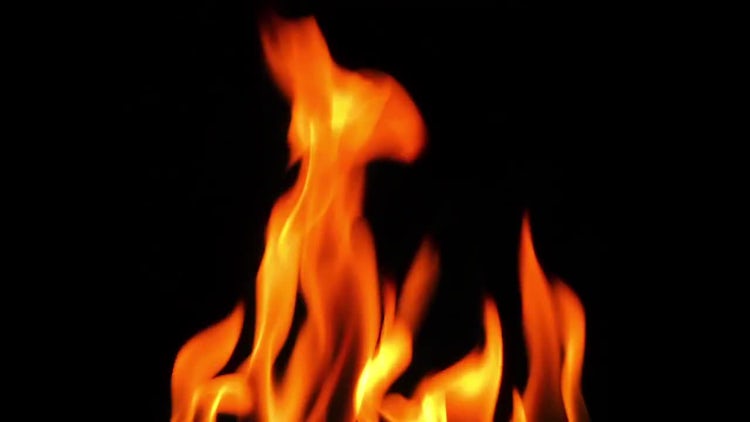 Burning Fire: Stock Video