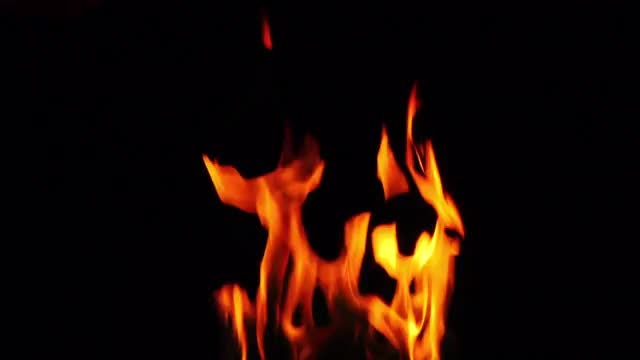 Burning Fire: Stock Video