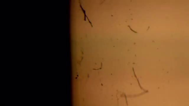 Vintage Film Dust and Scratches 2: Stock Video