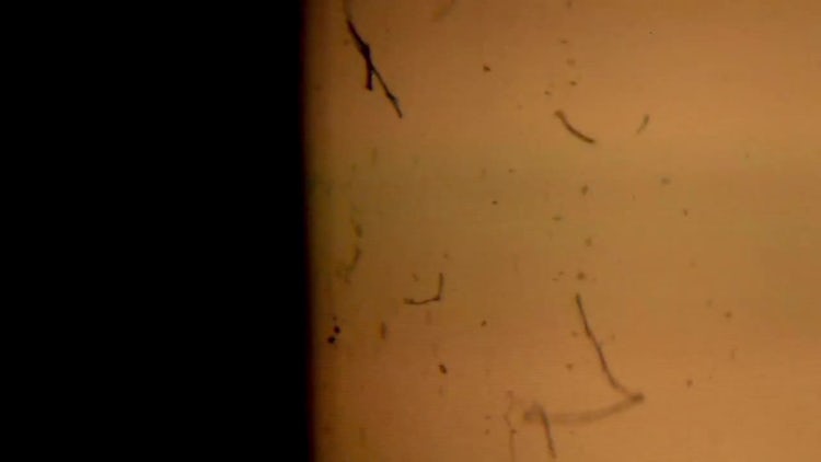 Vintage Film Dust and Scratches 2: Stock Video