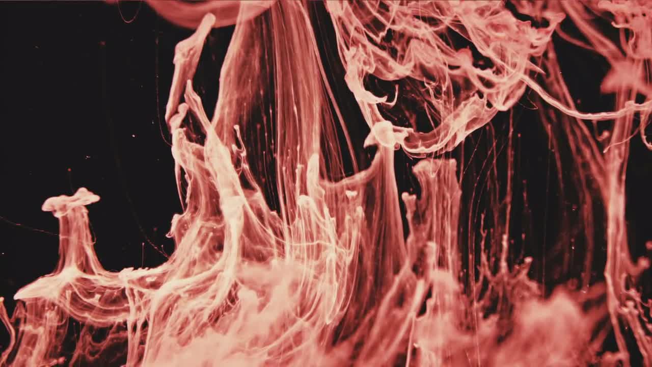 red-ink-on-black-stock-video-motion-array