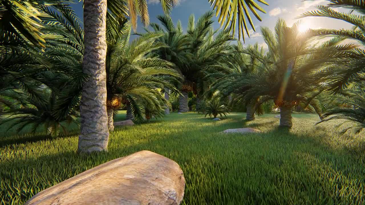 Palm Trees Animation Stock Motion Graphics Motion Array