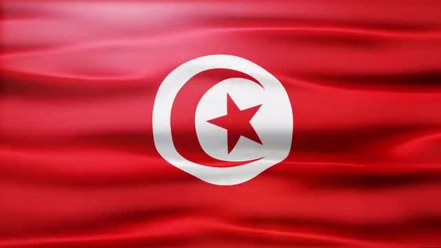 Tunisia Flag: Stock Motion Graphics