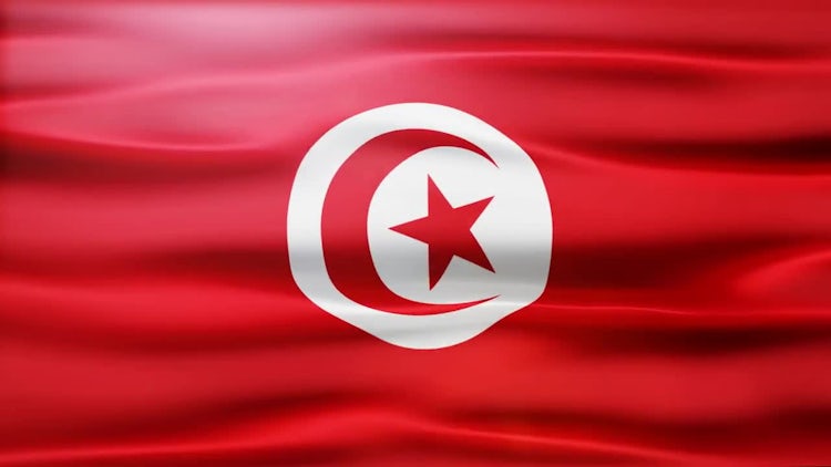 Tunisia Flag: Stock Motion Graphics