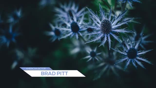 Lower Thirds: After Effects Templates