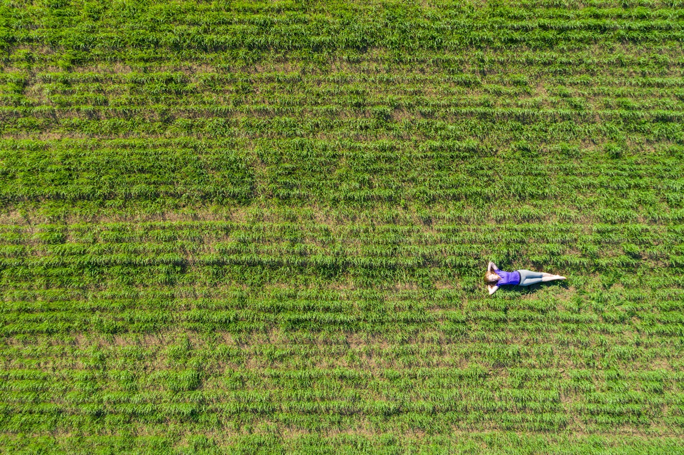 Woman on Green Field: Stock Photos