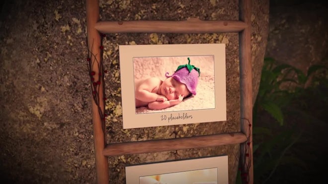 Photo Gallery In A Sunny Forest Freebies template preview