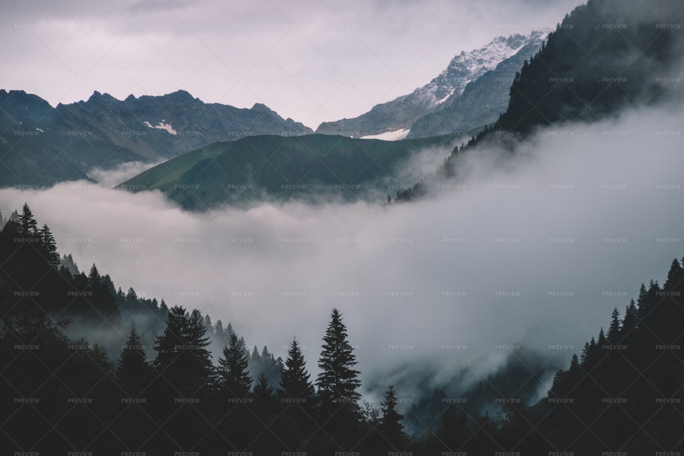 Foggy Mountain Forest - Stock Photos | Motion Array