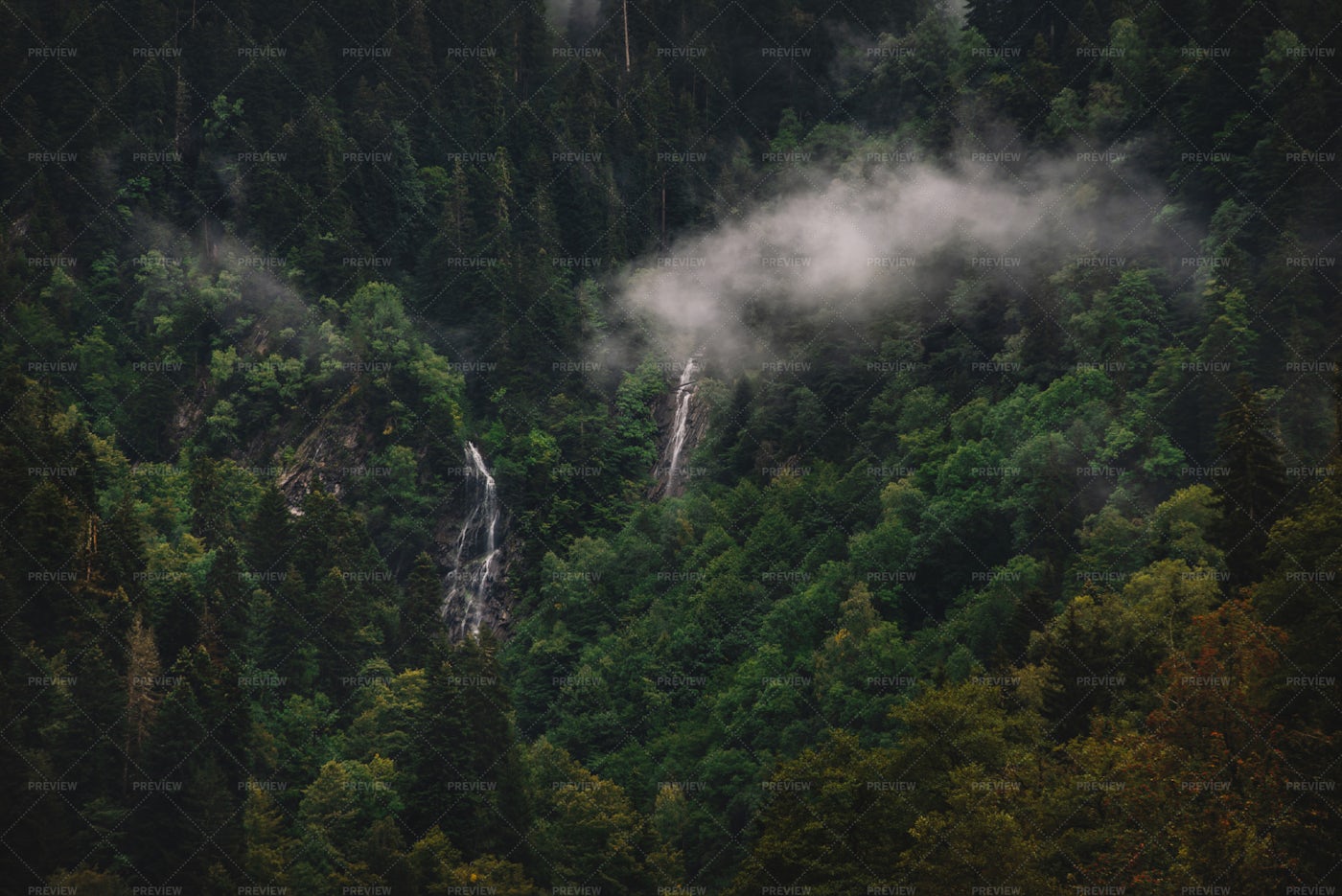 Waterfalls In The Mountain Forest: Stock Photos