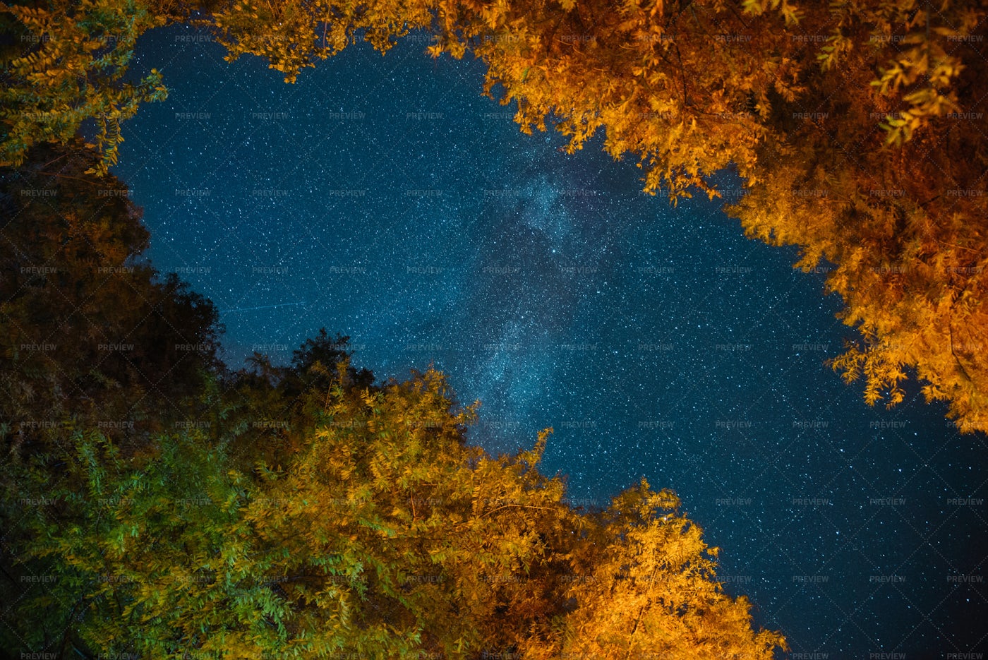 Starry Sky And Autumn Colors: Stock Photos