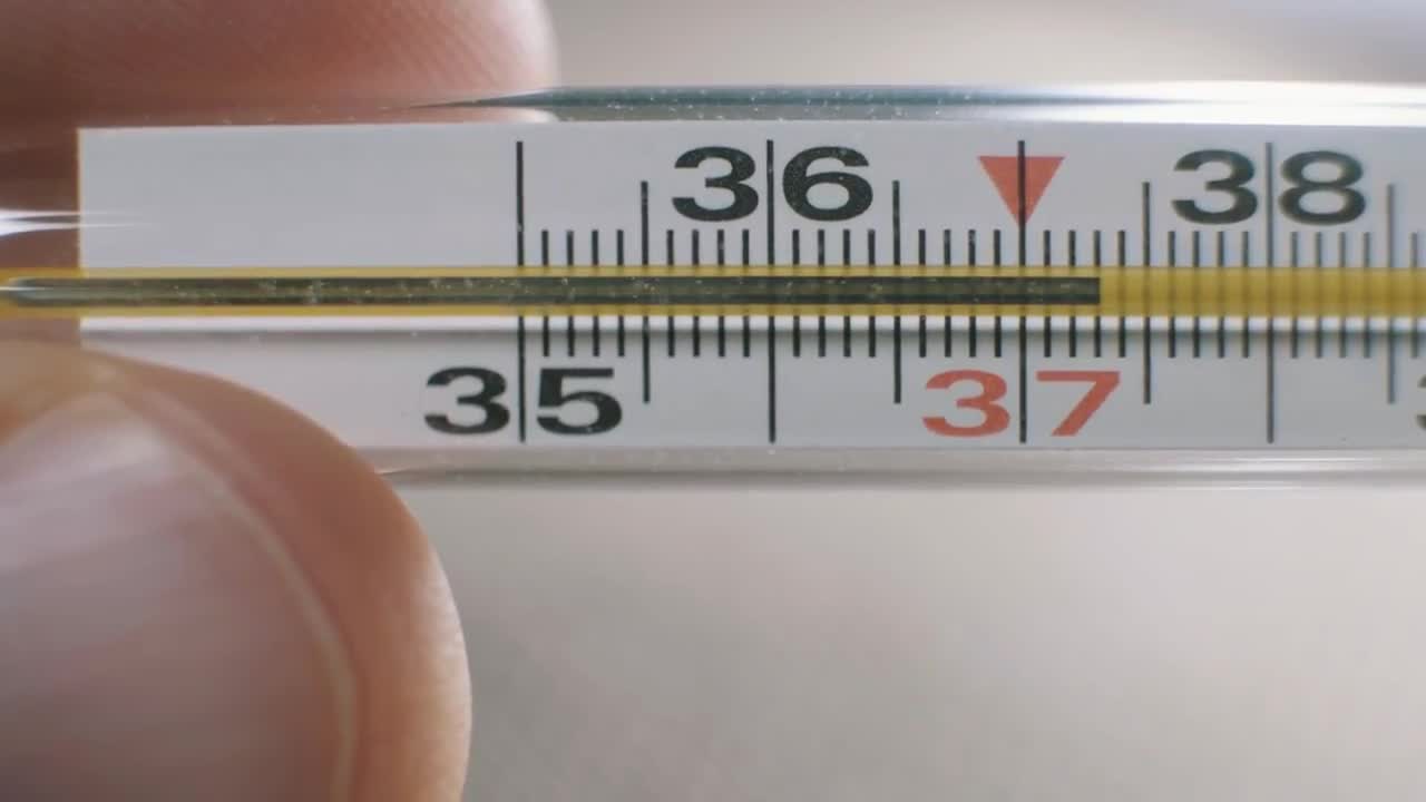 Taking Their Temperature Stock Video Motion Array