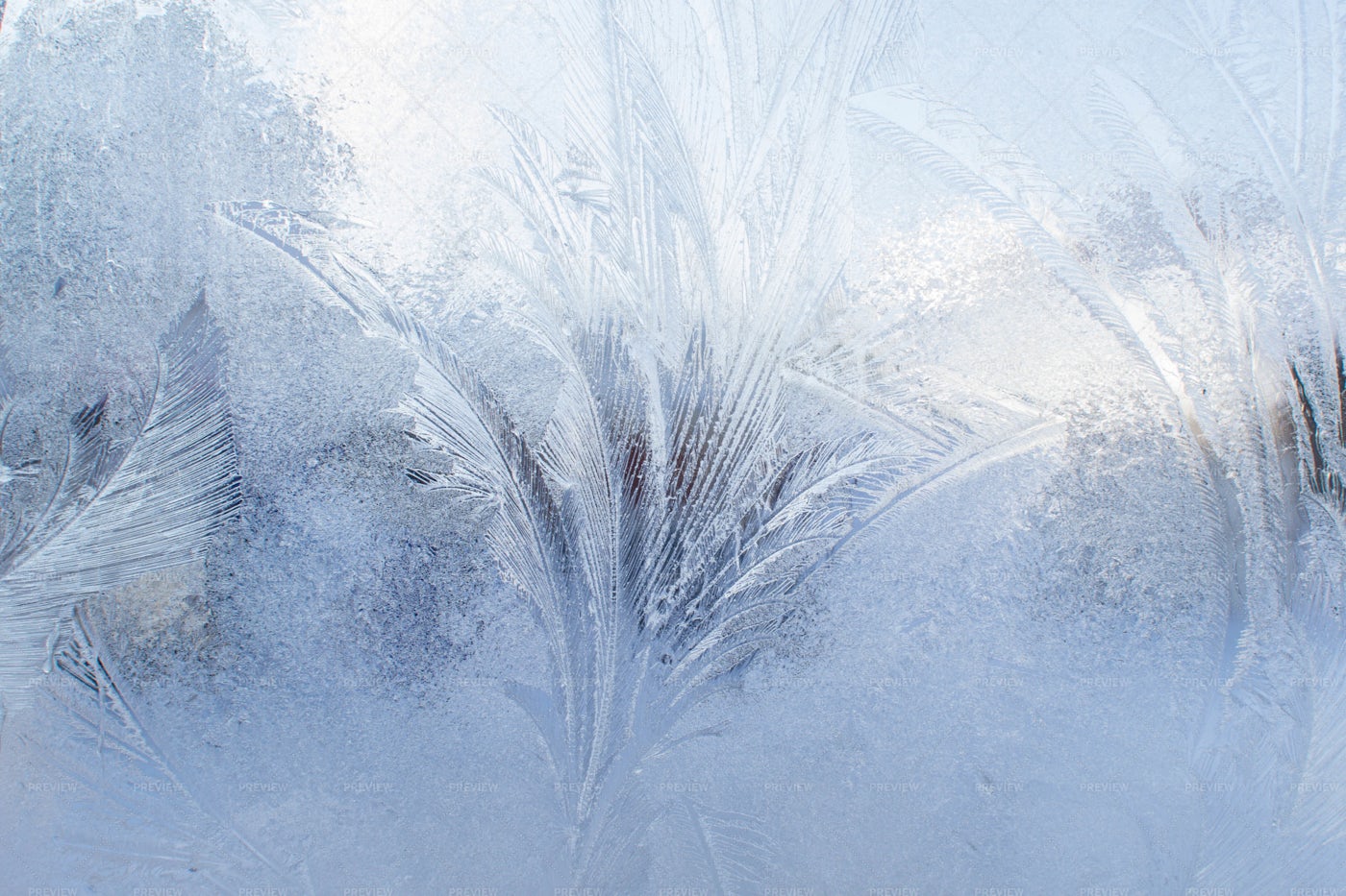 Icy Pattern: Stock Photos