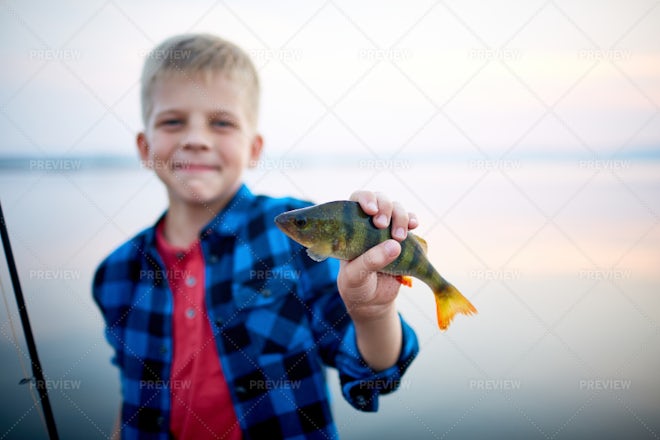 Blond Boy Catching Fish - Stock Photos