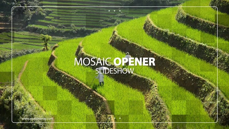 Mosaic Slideshow: After Effects Templates