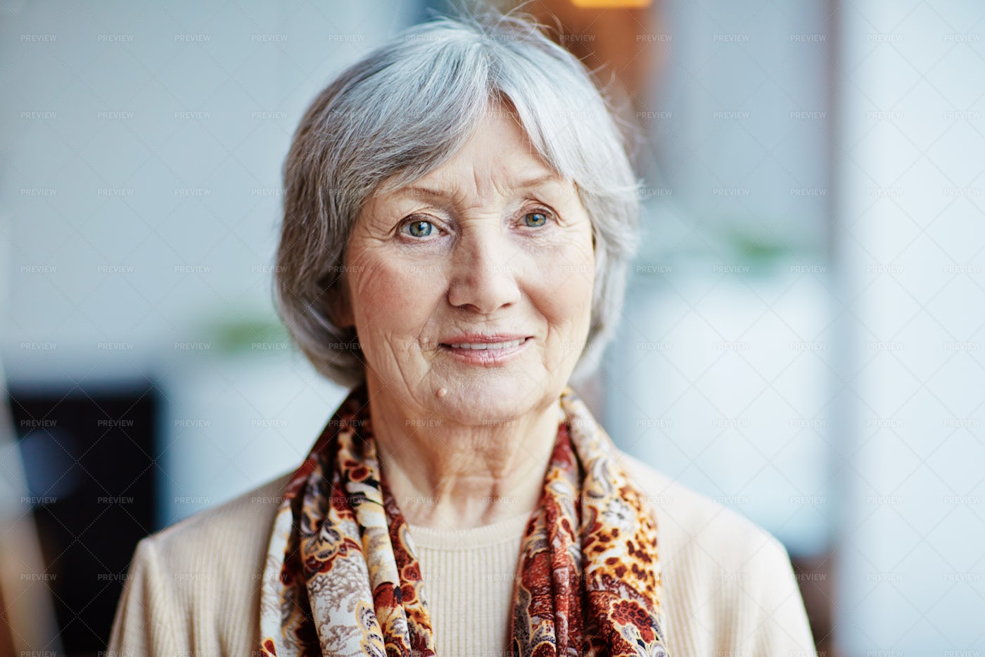 Pensive Elderly Woman By Window: Stock Photos