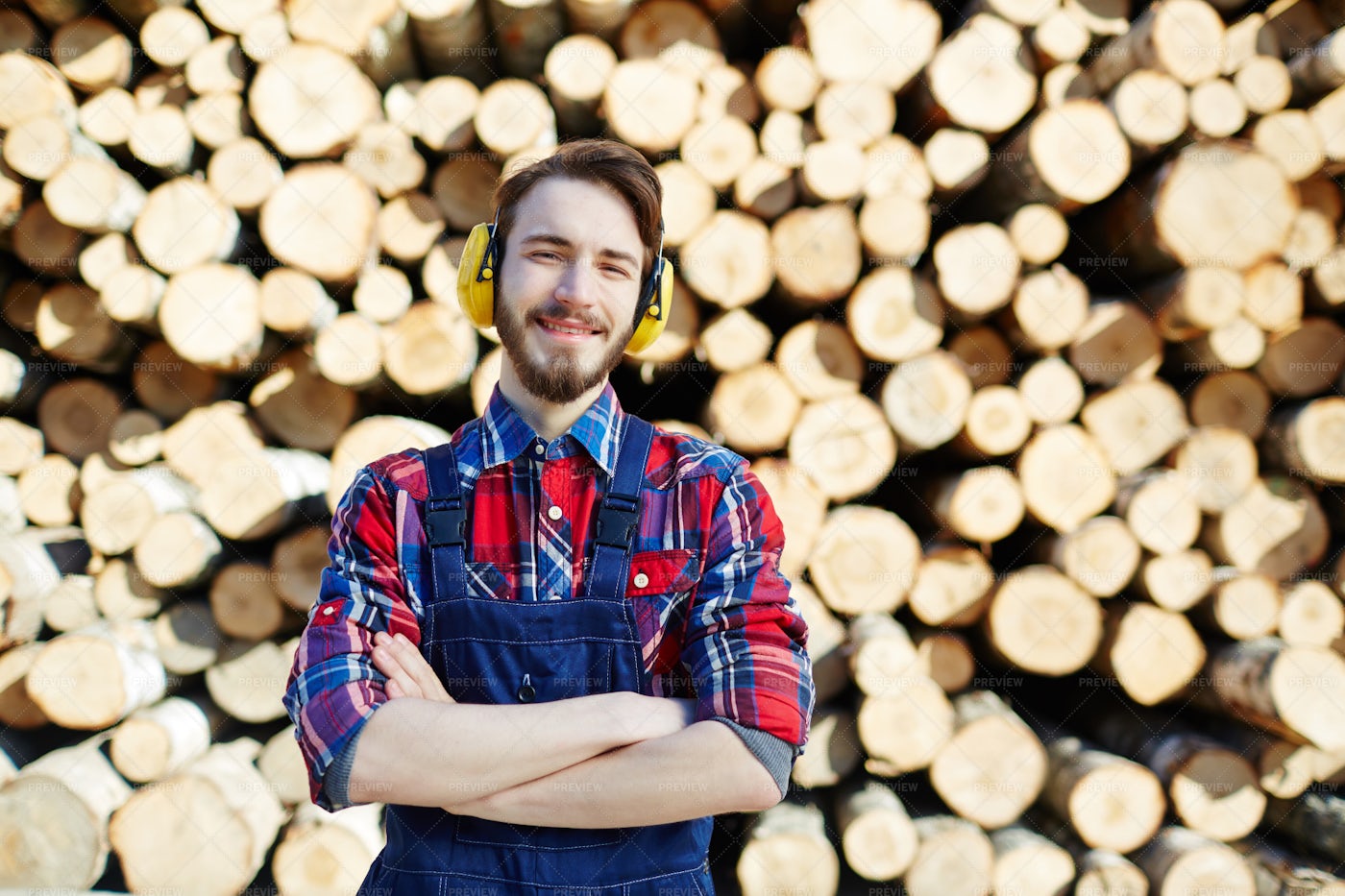 Tree Worker: Stock Photos