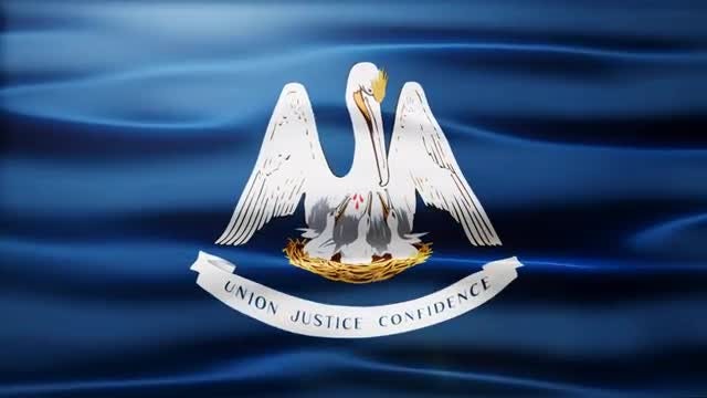 Louisiana Flag: Stock Motion Graphics