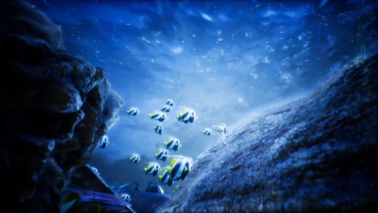 Under Water World 2: Motion Graphics
