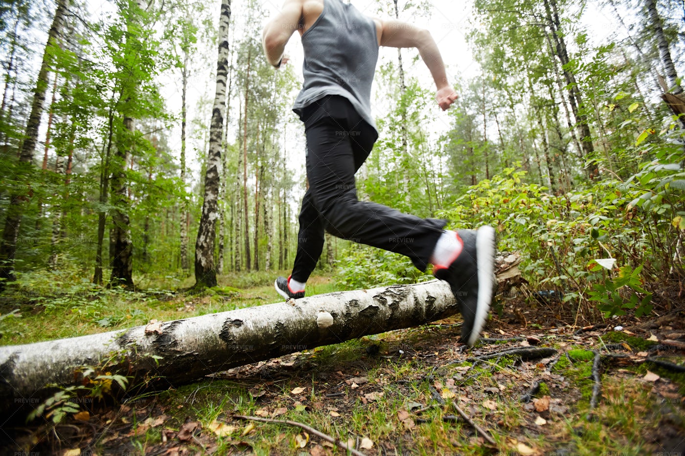 Running Over Birch Log: Stock Photos