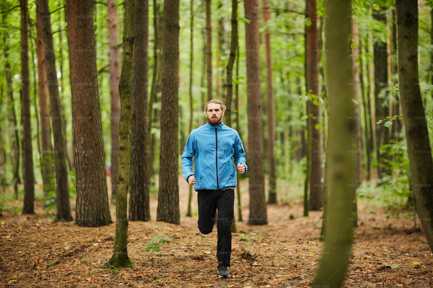 Running On Forest Path: Stock Photos